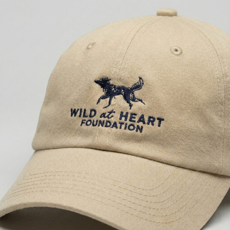 Wild-at-Heart-Foundation-Cap-2[39]