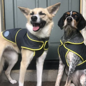 Waterproof Fleece-Lined Dog Jacket