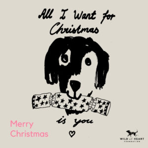 Christmas E-Cards