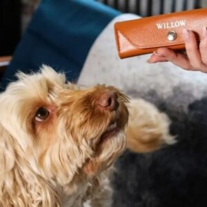 Partner Offer - Ettinger Pet Pill Cases