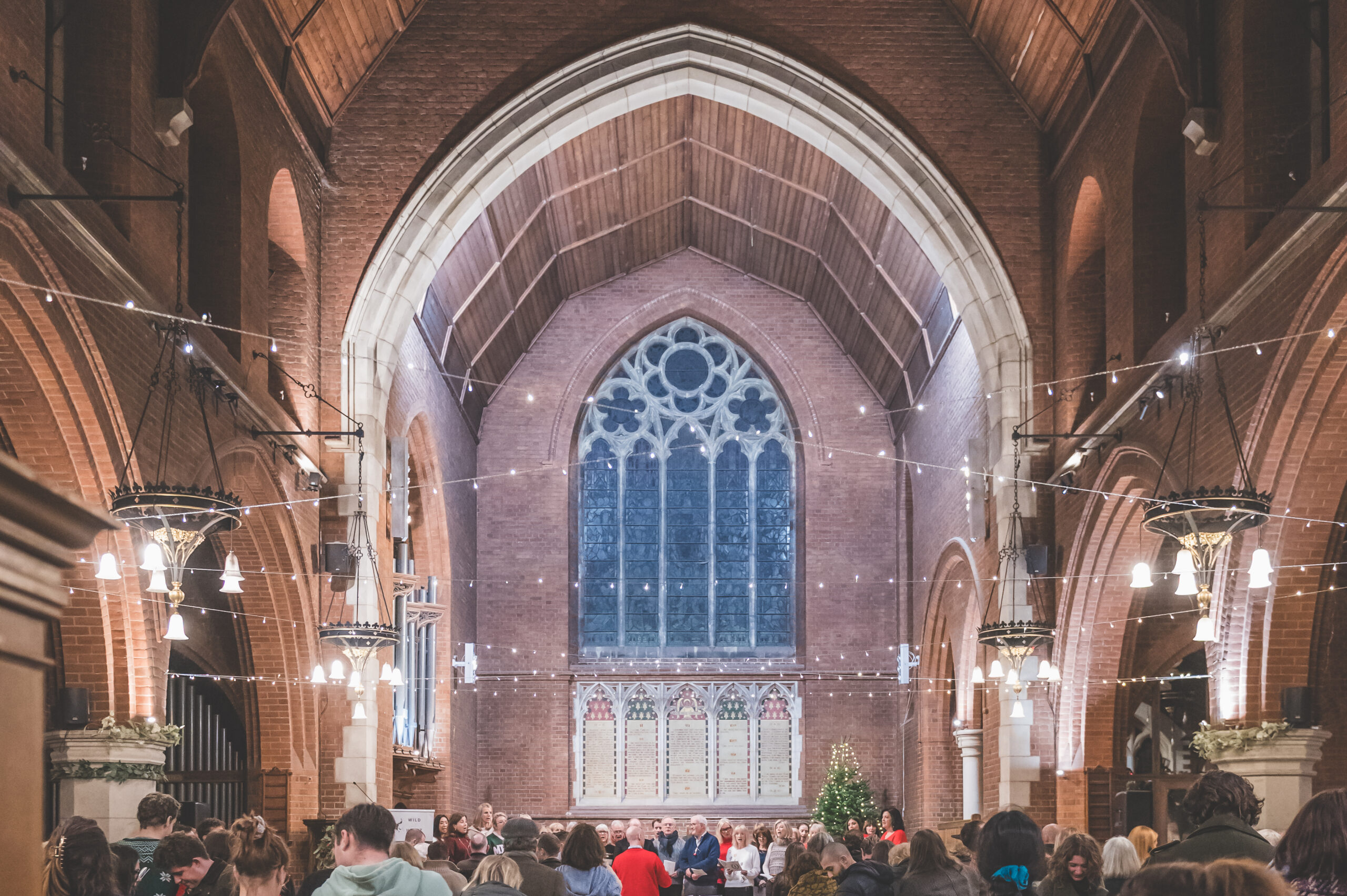 WAHFTails&Tidings2025Preview-by-@photobya4-18highres (1)