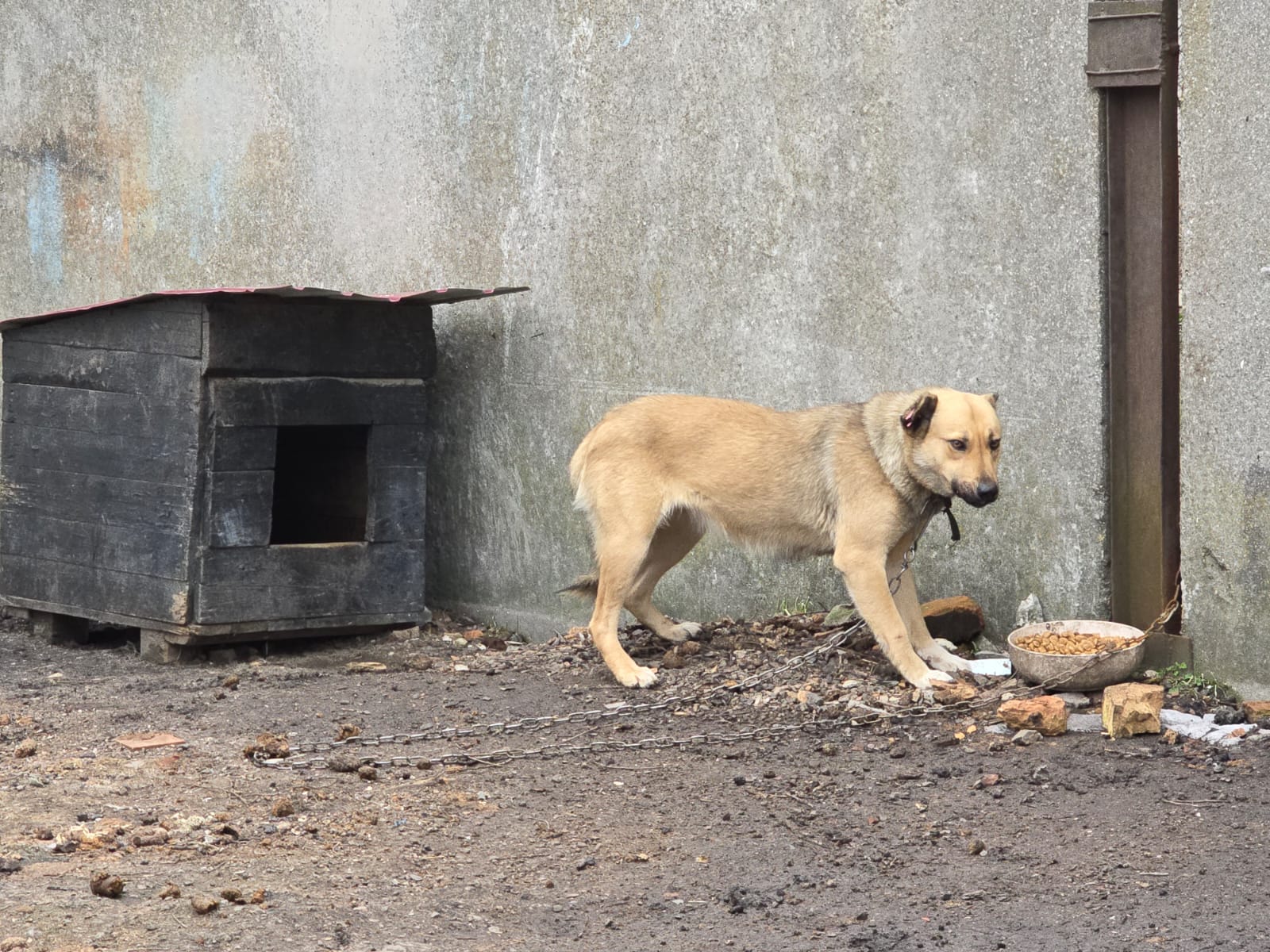 WhatsApp Image 2026-02-27 at 15.32